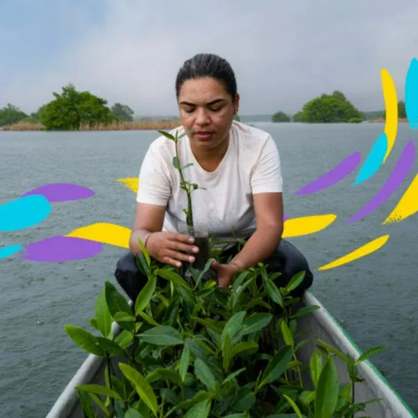 La Cuenta del Mar cuida los ecosistemas marinos de Colombia