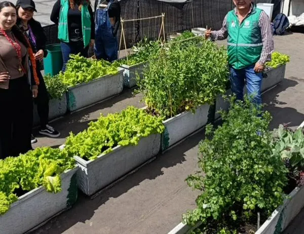 Jóvenes del IDIPRON se convierten en huerteros y sanan a través de la agricultura urbana en Bogotá 