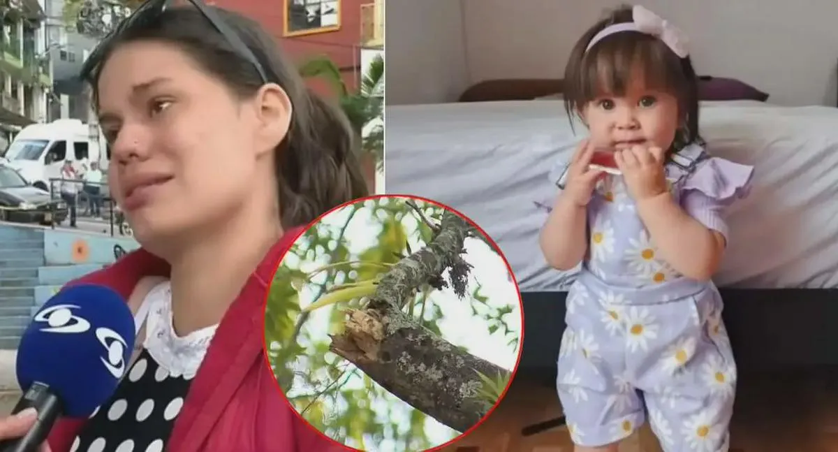 Mamá relató cómo perdió a su hija por rama que le cayó encima, en Silvania
