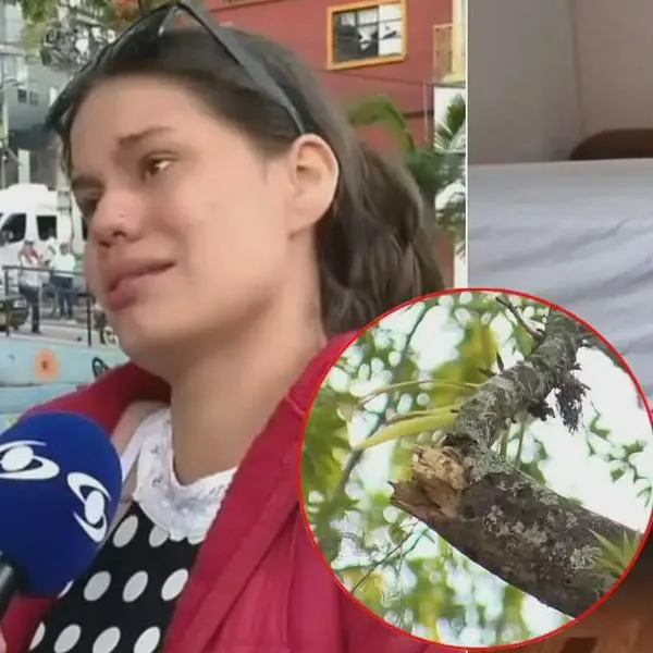 Mamá relató cómo perdió a su hija por rama que le cayó encima, en Silvania