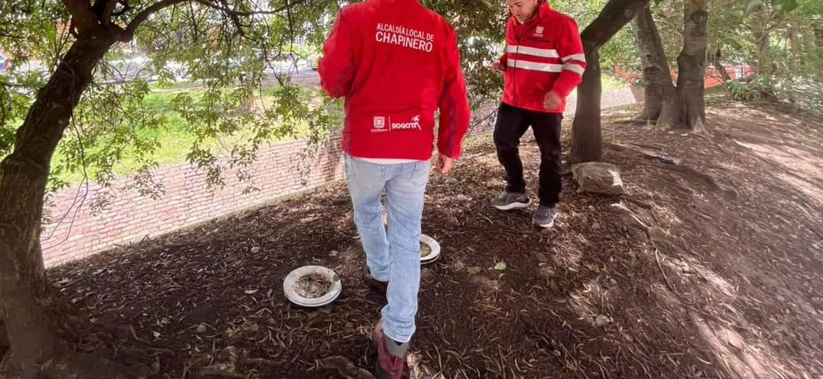 Localidad de Chapinero de Bogotá: territorio de biodiversidad 