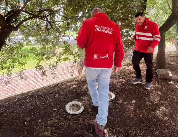 Localidad de Chapinero de Bogotá: territorio de biodiversidad 