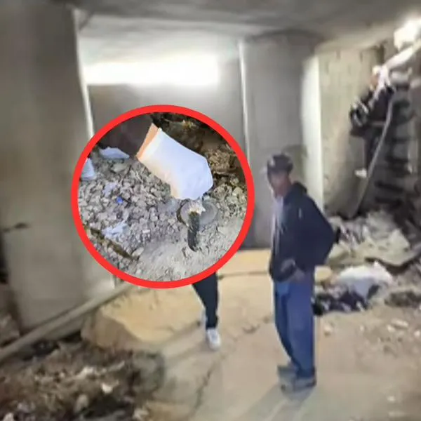 Apartamento secreto que hay debajo de famoso puente en Bogotá: esconcen cuchillos que huelen mal 