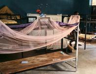 Nigeria: 50 de los 315 alumnas secuestradas en el estado de Níger escapan, pero 250 siguen cautivas