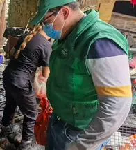 Rescatan a 30 animales en abandono en Bogotá: hallaron perros, gatos y un perico australiano