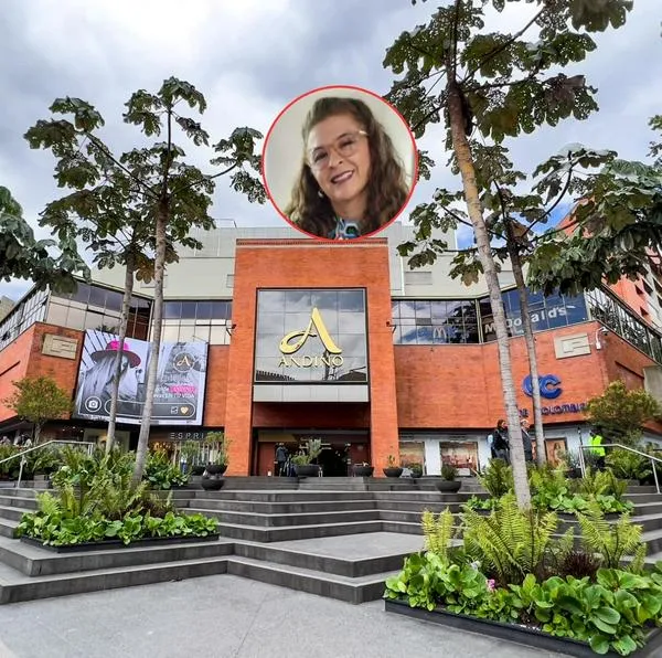 Centro comercial Andino