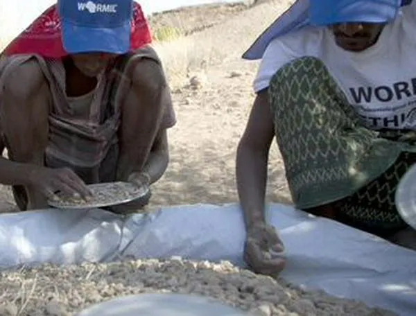 El propietario de un misterioso pie fosilizado de 3,4 millones de años ha sido identificado