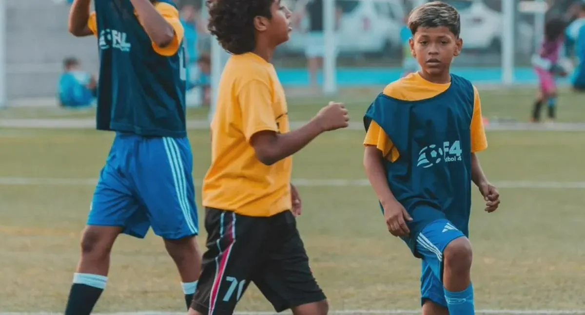 Imagen representativa del artículo