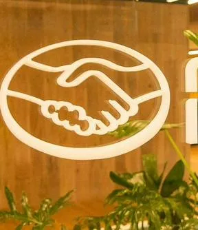 Imagen representativa del artículo