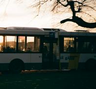 Hincha de Palmeiras falleció, previo a la final de Copa Libertadores: qué pasó