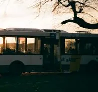 Hincha de Palmeiras falleció, previo a la final de Copa Libertadores: qué pasó