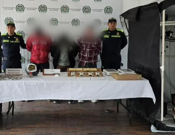 Descubierto cultivo hidropónico de marihuana en una vivienda de Ciudad de Bolívar en Bogotá: tres detenidos 