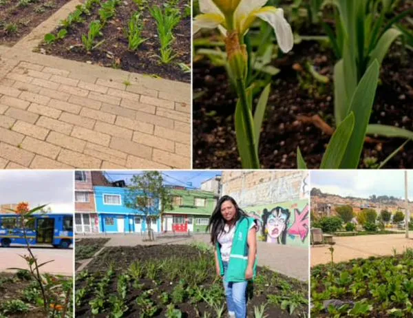 Así fue la recuperación floral de las 80 jardineras de la avenida El Rincón-Tabor en Suba 