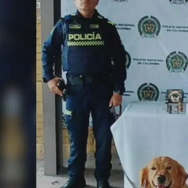 Hallazgo de popper, capturas y controles marcaron jornada del Plan Cazador en el Quindío