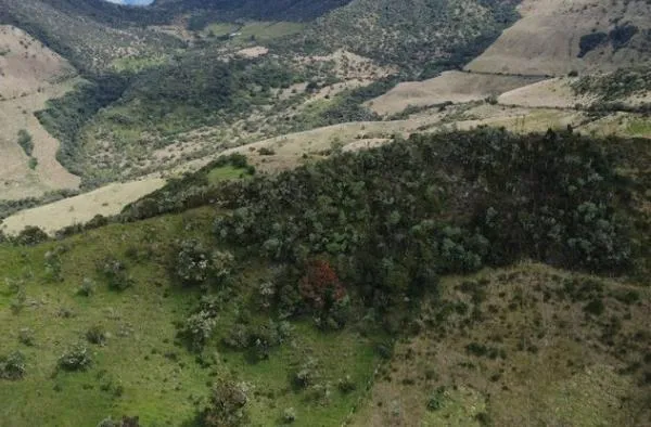 Video: Así cuidan el agua para Manizales a 3.700 m s.n.m. en Río Blanco, compra de predios y restauración