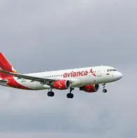 Avianca actualizó casi tota la flota Airbus: reactiva venta de tiquetes