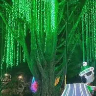 Con más de 750.000 luces se encendió oficialmente el alumbrado navideño en Armenia