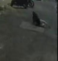 Caldas: En video se registró cómo un motociclista agrede a una mujer y luego la arrolla