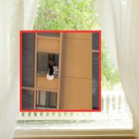 [Video] Amante escapó por ventana de edificio para huir de esposa furiosa