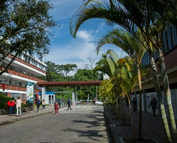 UTP abre becas para estudiar doctorados: hay 50 cupos con créditos condonables 