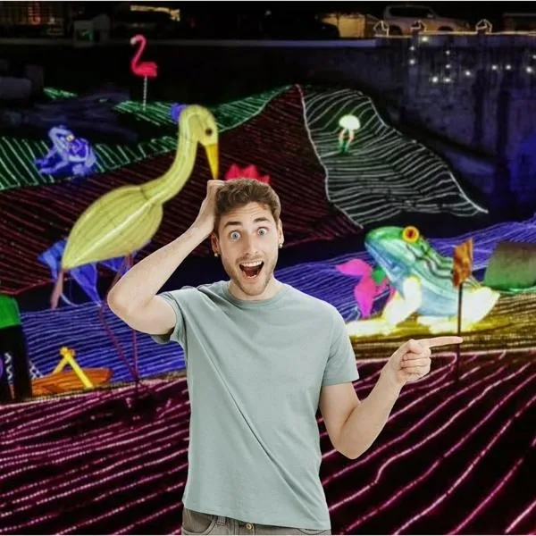 ¿Cuánto cuesta el tour de luces navideñas por Boyacá 2025? Rutas desde Bogotá