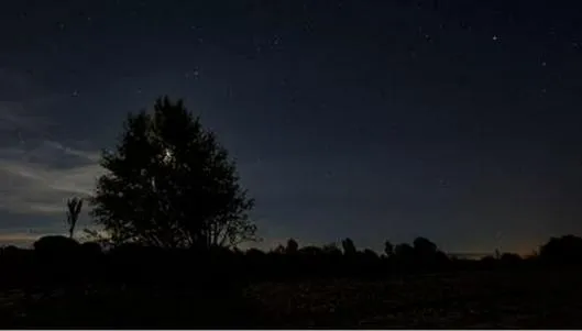 Lluvia de meteoros Gemínidas alcanzará su punto máximo este 13 de diciembre: ¿cómo verla?