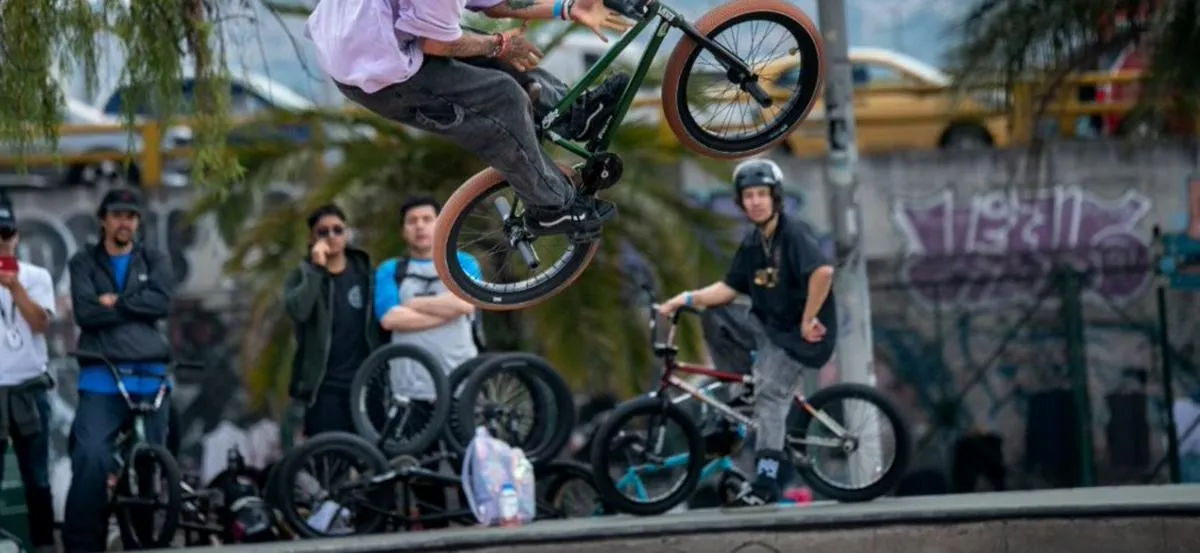 Imagen representativa del artículo