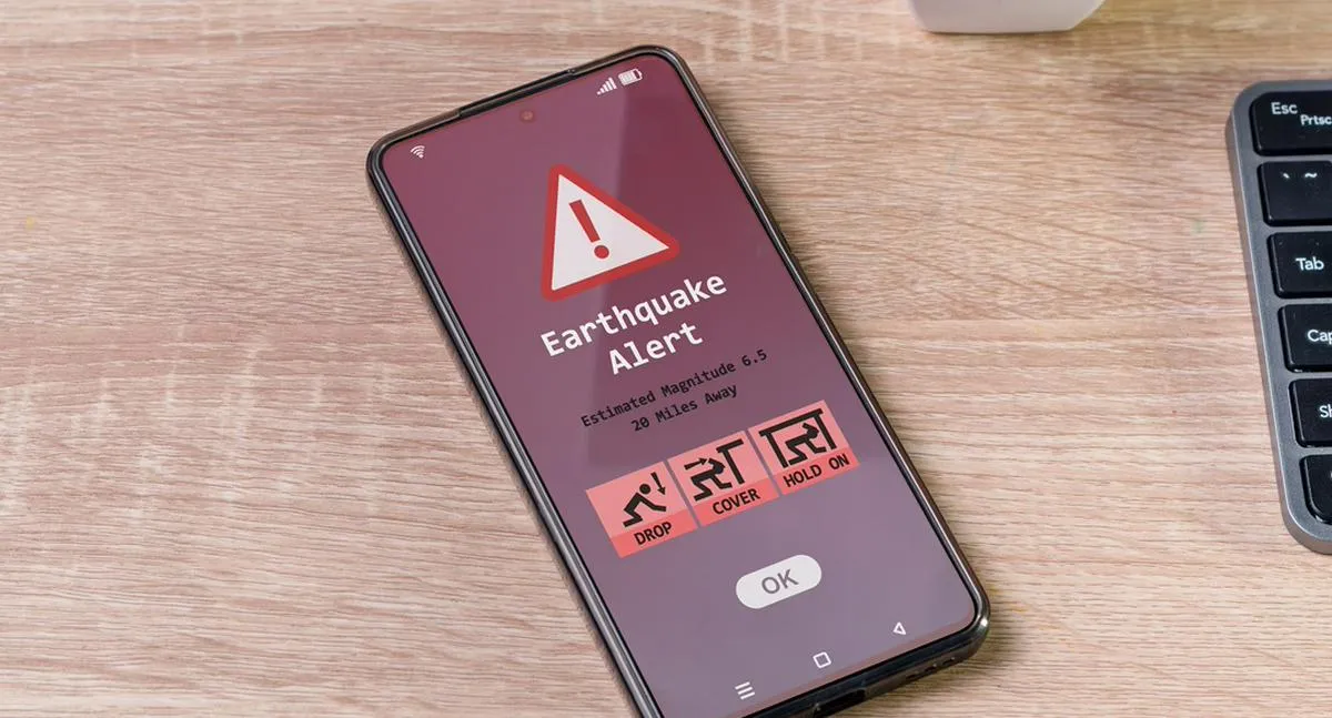 Imagen representativa del artículo