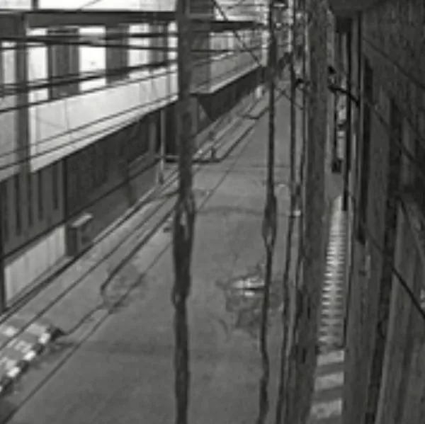 Video del momento exacto en que ocurrió temblor en Colombia; muchos salieron despavoridos. Se sintió en Bogotá, Medellín y Bucaramanga. 