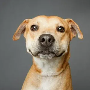 imagen nota inferior