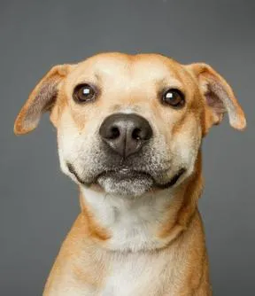 Imagen representativa del artículo