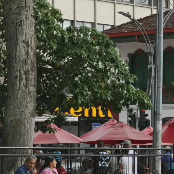 Migrar… volver al nido