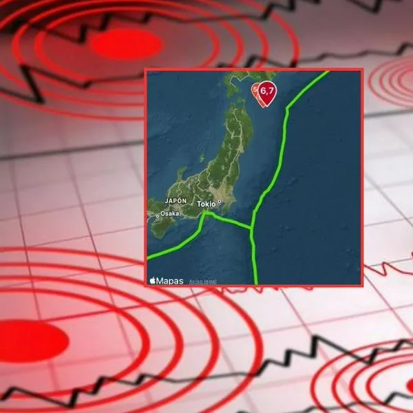 Alerta en Japón por terremoto de magnitud 6,5 que sacudió en norte del país