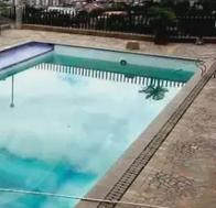 Paseo terminó en tragedia: niño de cuatro años se ahogó en una piscina en Risaralda