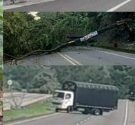 Paro armado del ELN completa primer día y deja al menos cuatro departamentos afectados