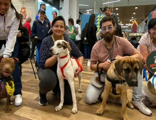 Perros y gatos encontraron familia en emotiva jornada de adopción del IDPYBA 