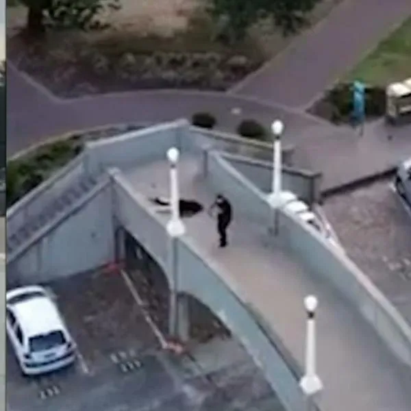 Habló colombiano que presenció tiroteo en Australia donde murieron 15 personas