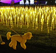 ¿Piensa salir de Bogotá esta Navidad? Estos son algunos de los pueblos que puede recorrer 