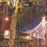 Pijao ilumina su parque principal con alumbrado navideño