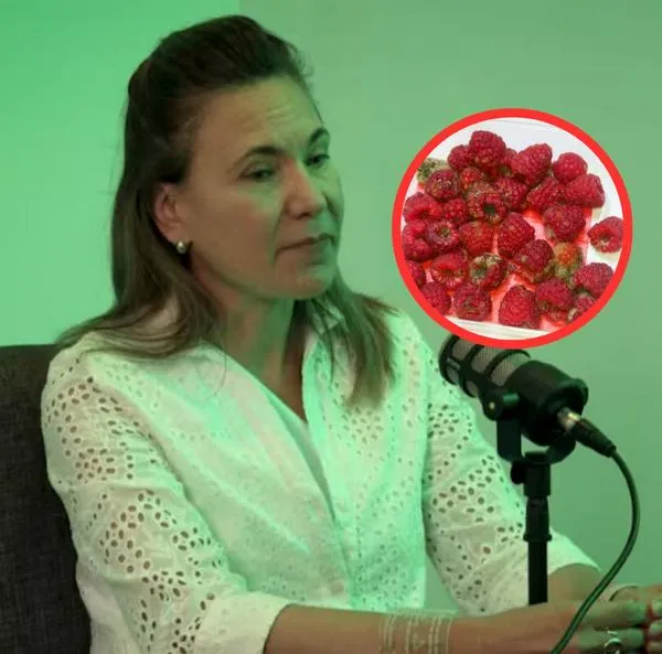 "Error personal": Zulma Guzmán aceptó 3 hechos en caso de niñas envenenadas con talio en Bogotá con frambuesas. 