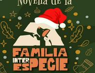 Bogotá celebra la Navidad con las Novenas Familiares Interespecie 
