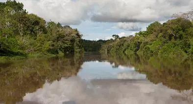 imagen principal de la nota