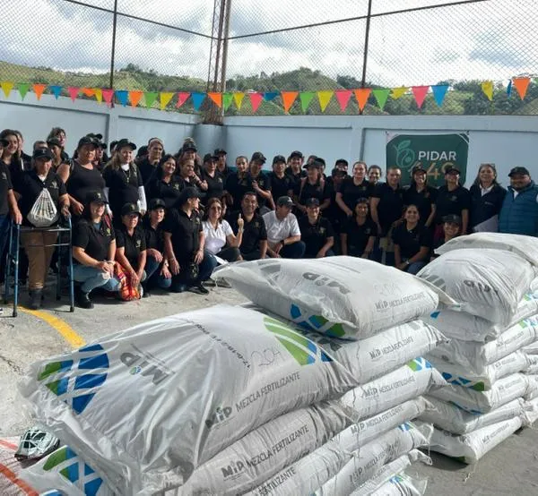 Eje Cafetero: cincuenta mujeres llevan sus cultivos a una nueva fase, una de ellas espera mejorar sus ingresos