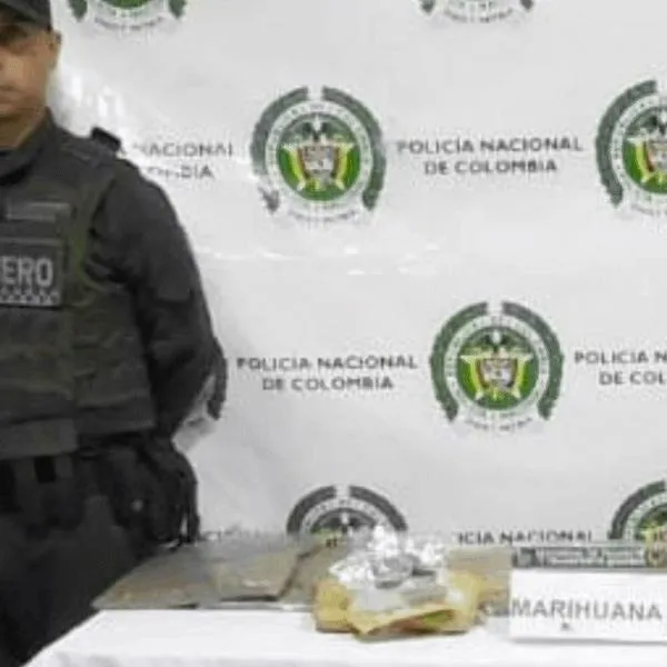 Canino de la policía permitió la incautación de carga de alucinógenos