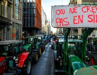 Miles de agricultores protestan en Bruselas contra el acuerdo UE-Mercosur