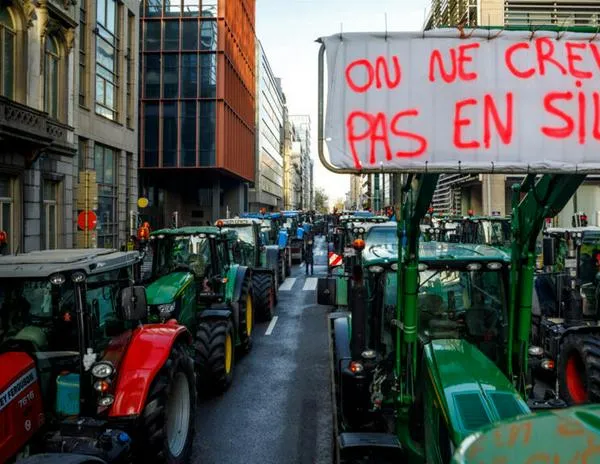 Miles de agricultores protestan en Bruselas contra el acuerdo UE-Mercosur