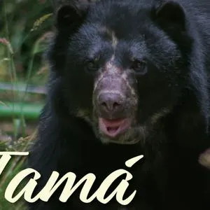 imagen nota inferior