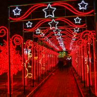 Planes para ver luces en Bogotá: Lumina Fest parque el chicó