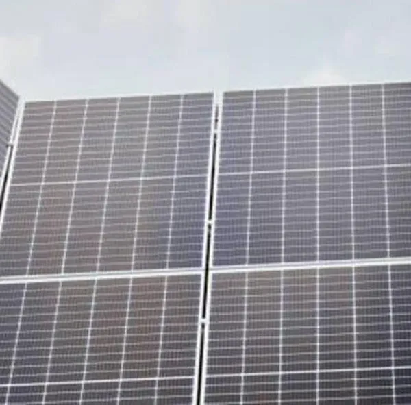Panel solar: ¿Cuánta energía genera y qué electrodomésticos o aparatos puede alimentar?