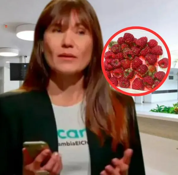 imagen principal home